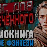 Аудиокнига Боевое Фэнтези