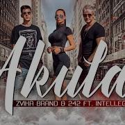 Akula Feat Intellegent Zvika Brand 242 Intellegent