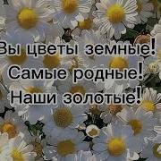 Сыновья И Дочки Альбина Царикаева Караоке