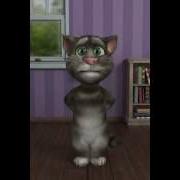 Talkingtom2 Башкорттар Китте Хугышка Стишок Прикол