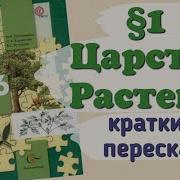 Царство Растения Внешнее Строение И Общая Характеристика Растений