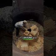 Bambus