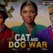 Cat War 1