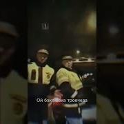 Ой Бэха Бэха Троечка