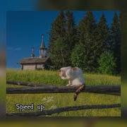 Винни Пух Speed Up
