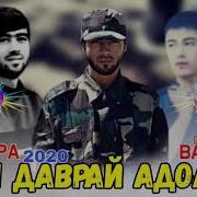 Basster Styopa