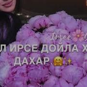 Дала Декъал Йойл Хьо