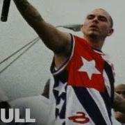 Pitbull Cuko
