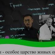 Биология 8 Класс Сивоглазов