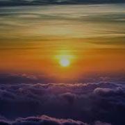 Sunrise Taurine