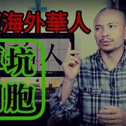 中国人不团结