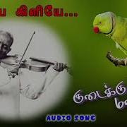 Adiyae Killiyae From Kudaikkhul Mazhai Ilaiyaraaja