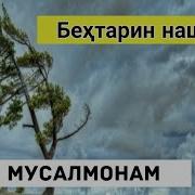 Нашид Точики Ман Мусалмонам