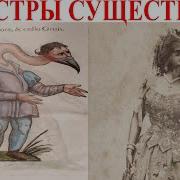 Форма Размеры
