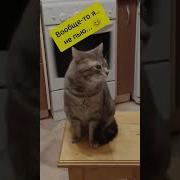 Вообще То Я Не Пью