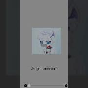 Кот Атос Приди