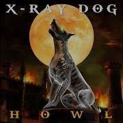 I M Loosing Control X Ray Dog