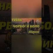 Минуса Точики