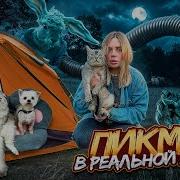 Не Мы Такие Жизнь Такая