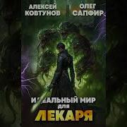 Идеальный Мир Лекаря 24