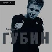 День И Ночь Андрей Губин