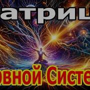 Матрица Гаряева Страх И Тревоги