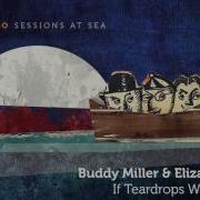 Buddy Miller If I Were You