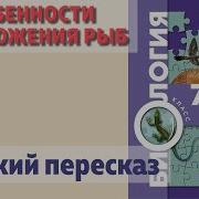 Биология 7 Класс Константинов Бабенко Кумченко Параграф 32 Особенности Размножения Рыб