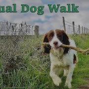 Dog Walk
