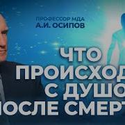 Что Происходит С Душой После Смерти А И Осипов