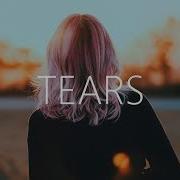 Alan Walker Tears