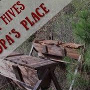 Top Bar Hive