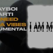 Playboi Carti We Need All Da Vibes Instrumental