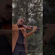 Мехди Хабиби