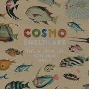 Cosmo Sheldrake Birthday Suit