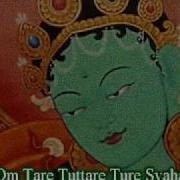 Tara