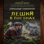 Александр Тамоников Леший В Погонах