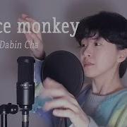 Tones And I Dance Monkey Cover By Dabin Cha