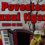 Muzica De Petrecere Un Tigan