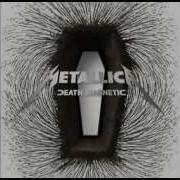 Metallica Death Magnetic Flac