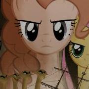 Mlp