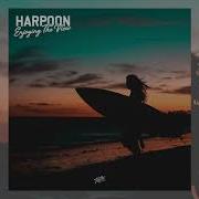 Enjoying The View Harpoon