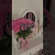 Ансайды Жаным Speed Up