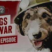 World War Heroes