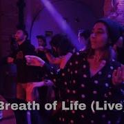 Sina Bathaie Breath Of Life