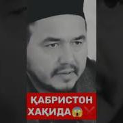 Shukrullo Domla Qisqa Gaplari