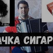 Виктор Цой Кино Пачка Сигарет Баян Кавер