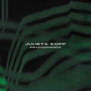 Julieta Kopp The Things You Can T Touch