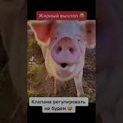 Звук Мотоцикла Мем