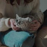 Жизнь Замурчательная Вискас